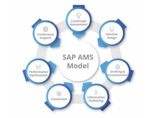SAP Support